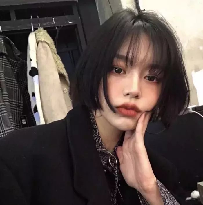 极岛森林第二季